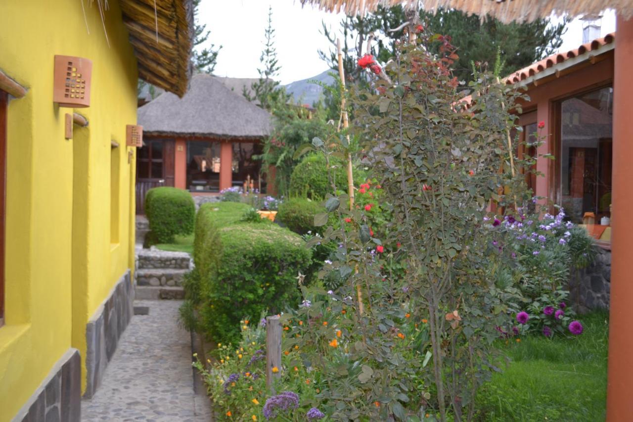 Miskiwasi Bed & Breakfast Yanque エクステリア 写真